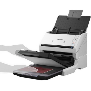 Picture of Epson Flatbed Scanning Dock