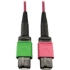 Picture of Tripp Lite Multimode Fiber Optic Cable 400G OM4 MTP/MPO-APC to MTP/MPO-UPC F/F 1M