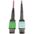 Picture of Tripp Lite Multimode Fiber Optic Cable 400G MTP/MPO-APC to 24F MTP/MPO-UPC F/F 1M