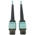 Picture of Tripp Lite Multimode Fiber Optic Cable OM4 Plenum 400G 50 24F MTP/MPO-PC F/F 3M