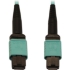 Picture of Tripp Lite N844B-01M-12-P Fiber Optic Network Cable