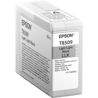 Picture of Epson UltraChrome HD T850 Original Ink Cartridge - Light Black