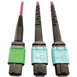 Picture of Tripp Lite Multimode Fiber Optic Cable MTP/MPO-APC to x2 12F MTP/MPO-UPC F/F 5M