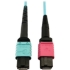 Picture of Tripp Lite Multimode Fiber Optic Cable 24F MTP/MPO-UPC to 16F MTP/MPO-UPC F/F 3M