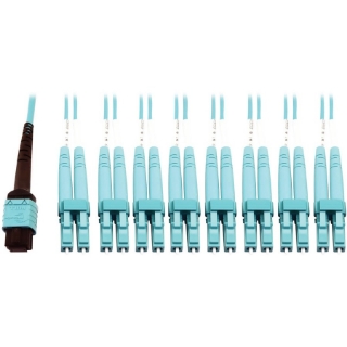 Picture of Tripp Lite Multimode Fiber Optic Breakout Cable 24F MTP/MPO-PC to x8 LC F/M 5M