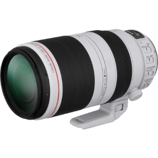 Picture of Canon - 100 mm to 400 mm - f/5.6 - Telephoto Zoom Lens for Canon EF