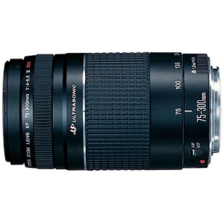 Picture of Canon EF 75-300mm f/4-5.6 III Telephoto Zoom Lens