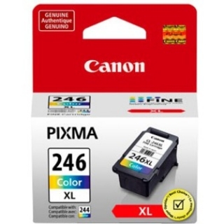 Picture of Canon CL-246XL Original Ink Cartridge - Color