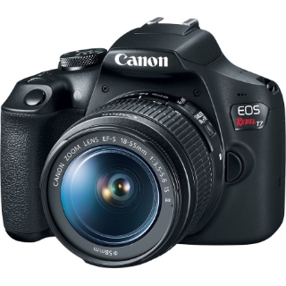 Picture of Canon EOS Rebel T7 24.1 Megapixel Digital SLR Camera with Lens - 0.71" - 2.17" (Lens 1), 2.95" - 11.81" (Lens 2)