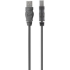 Picture of Belkin 2.0 USB-A to USB-B Cable