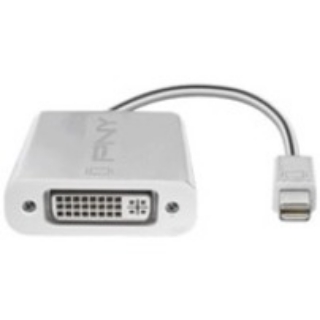 Picture of PNY Mini DisplayPort (M) to DVI-D (F) (Pack of 4)