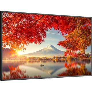 Picture of NEC Display 55" Wide Color Gamut Ultra High Definition Professional Display