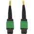 Picture of Tripp Lite N390B-02M-12-AP Fiber Optic Network Cable