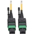 Picture of Tripp Lite MTP/MPO (APC) SMF Fiber Patch Cable 12 Fiber QSFP+ 40/100Gbe 7M