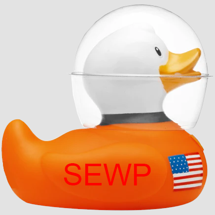SEWP VI  SpaceDuck